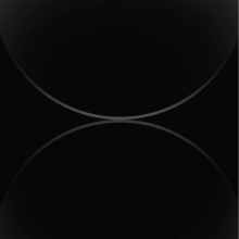 LUIZ HENRIQUE MARTINS MENDES 